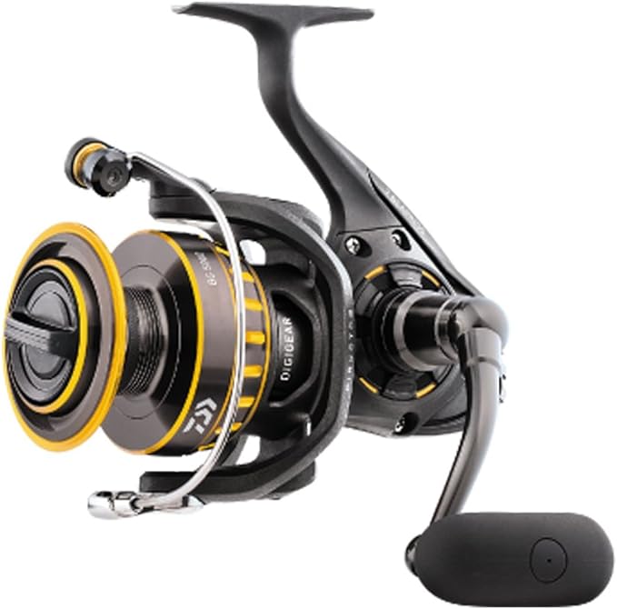 Daiwa's Top Fishing Reel Brand