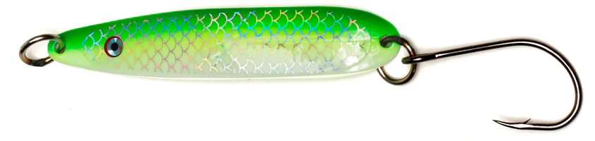 spoon lure
one of the best lures for salmon